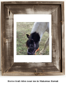 horse trail rides near me in Makawao, Hawaii